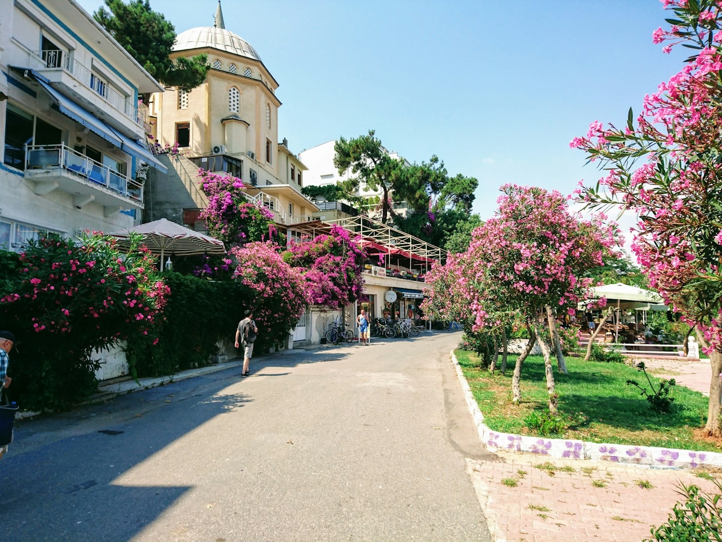Sea Views and Olive Trees: A Corfu Retreat