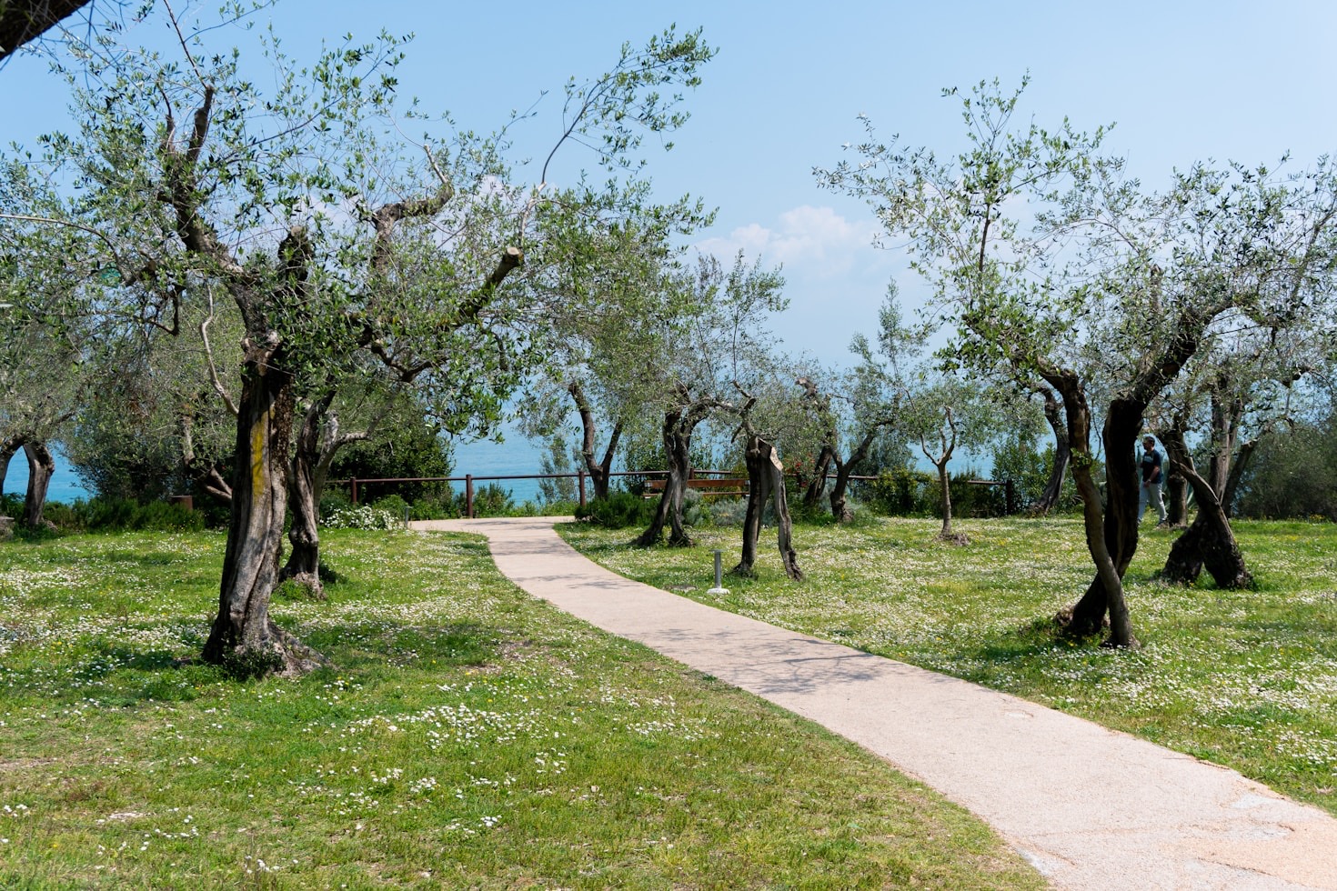 From Ruins to Masterpiece: Our Renovation Journey